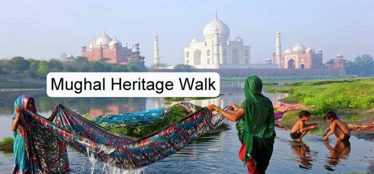 Agra Fort & Mughal Heritage Tour with a local tour guide